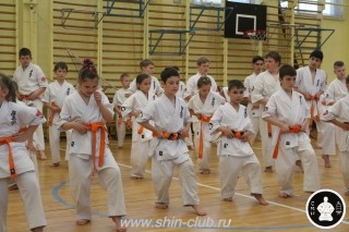 занятия каратэ для детей (103)